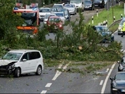 مصرع 7 أشخاص إثر سقوط أشجار بسبب عاصفة قوية في ألمانيا 