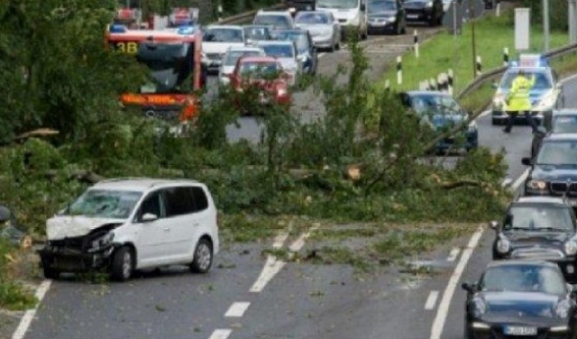 مصرع 7 أشخاص إثر سقوط أشجار بسبب عاصفة قوية في ألمانيا 