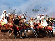 في "احتفالات النصر": الخيول المغربية تقدم استعراض "التبوريدة"