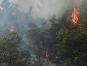 خسائر حرائق الغابات في كاليفورنيا تصل إلى مليار دولار