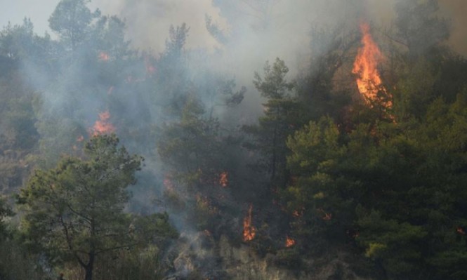 خسائر حرائق الغابات في كاليفورنيا تصل إلى مليار دولار مجلة عرب