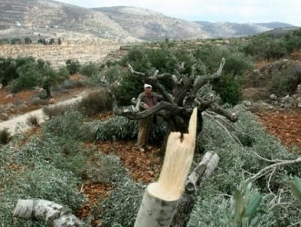 الخارجية الفلسطينية: جيش الاحتلال يمارس إرهاب دولة