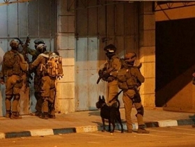 الاحتلال يعتقل 7 فلسطينيين ويصادر آلاف الشواكل بجنين