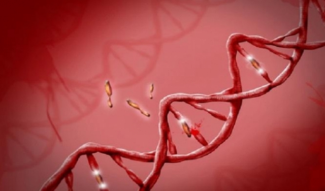 علماء يتمكنون من تعطيل جين مرتبط بالكولسترول