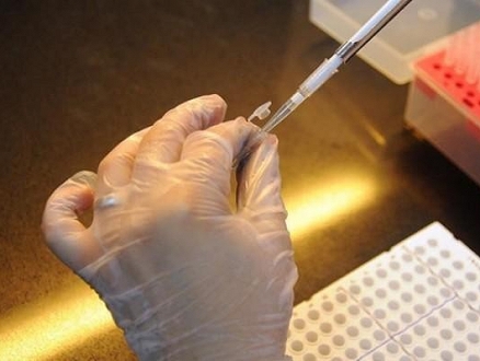 أبحاث جديدة: البكتيريا لمحاربة السرطان