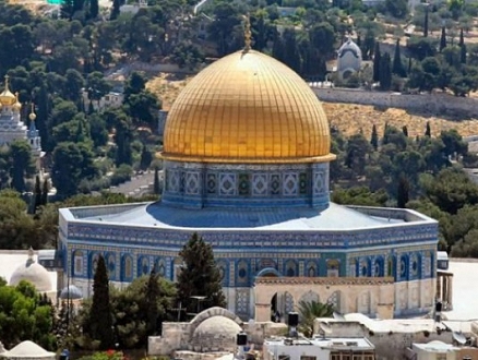نبض الشبكة: من القدس إلى أبو ديس