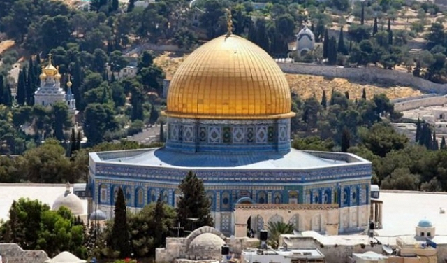 نبض الشبكة: من القدس إلى أبو ديس