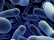 وفاة 36 شخصًا بسبب بكتيريا "ليستريا" في جنوب أفريقيا