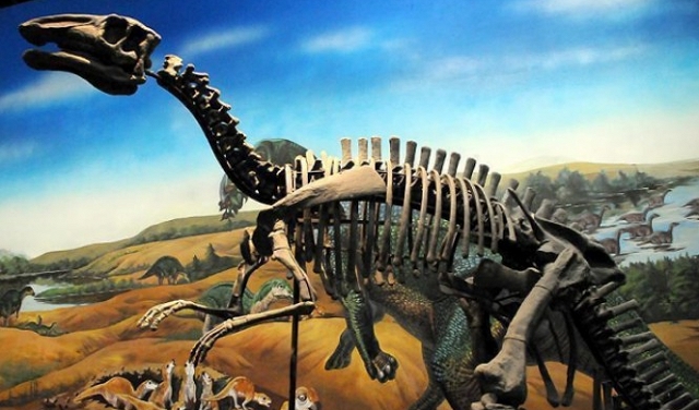 تونس: العثور على أقدم آثار لديناصورات تعود لـ150 مليون سنة