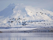 باحثون: التغير المناخي يؤدي إلى زيادة قياسية في تساقط الثلوج في ألاسكا