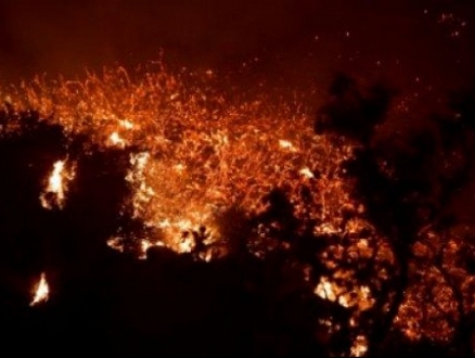 الحريق "توماس" يتحول إلى أكبر حرائق كاليفورنيا