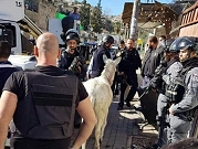 القدس المحتلة: الاحتلال يهدم منشأتين ويداهم المتاجر بسلوان