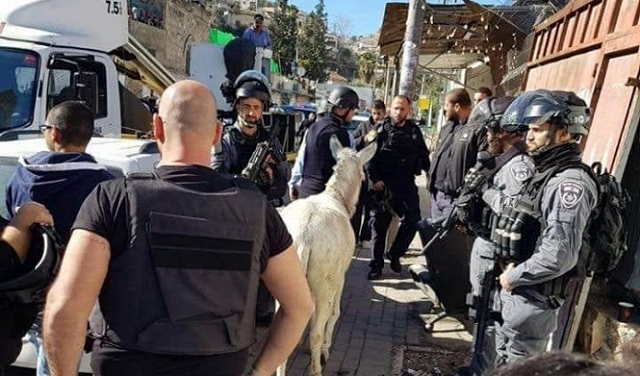 القدس المحتلة: الاحتلال يهدم منشأتين ويداهم المتاجر بسلوان