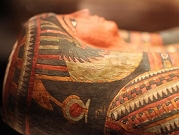 3 أجزاء لمومياوات فرعونية سُرقت منذ 100 عام تعود إلى مصر