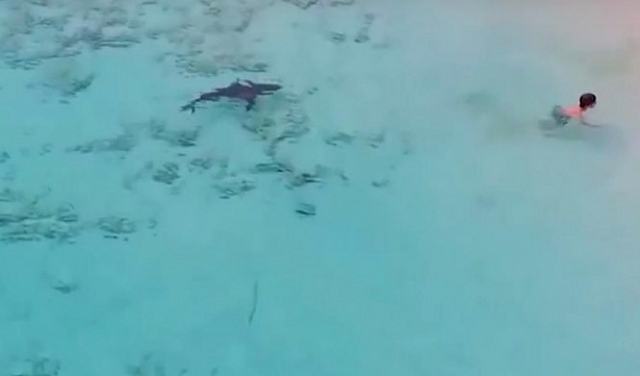 طفل ينجو من 4 أسماك قرش على شاطئ الباهاما