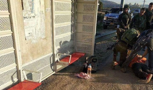 الاحتلال يعتقل شابة فلسطينية بادعاء حيازتها لسكين وبنزين