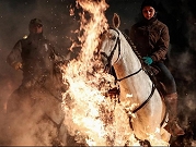 خيول  فوق النيران في مهرجان مدينة "آبلة" الإسبانية
