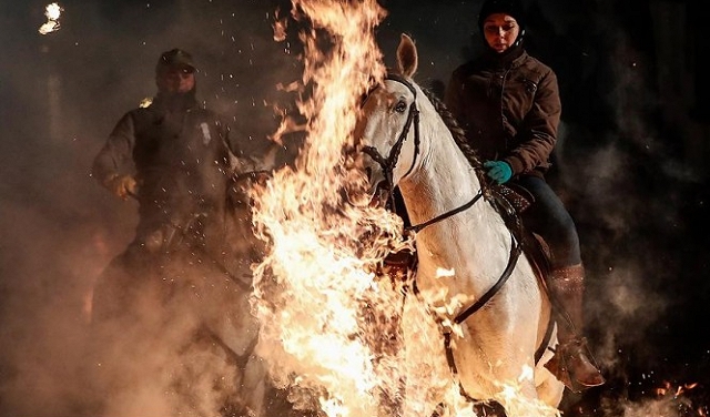 خيول  فوق النيران في مهرجان مدينة 