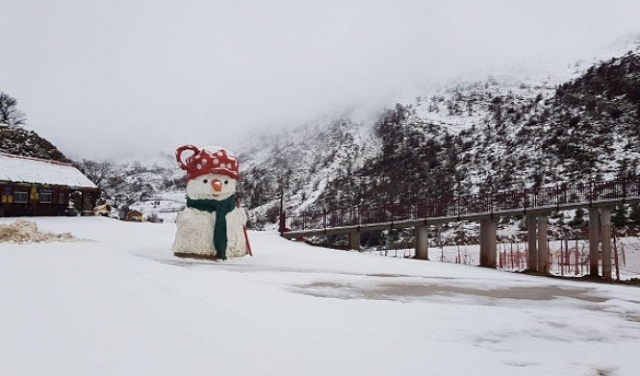 بعد جبل الشيخ: توقعات بتساقط الثلوج في جبال الجليل