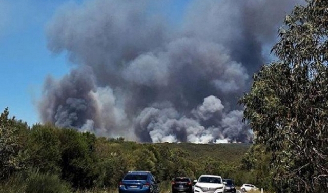 سيدني: إنقاذ 200 شخص في حرائق غابات 