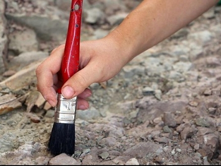 كندا: علماء  يكتشفون ديدان أحفورية عمرها 500 مليون عاماً