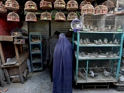 أجنحة الفرح... سوق للطيور ينسي الأفغان عقود الحروب