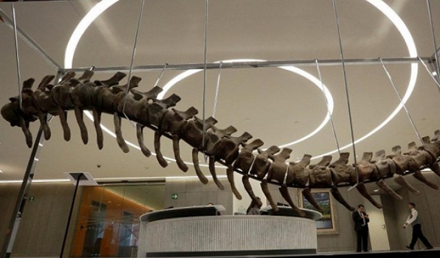 بعد منصوراصورس.. باحثون مصريون يأملون في اكتشاف ديناصورات أخرى
