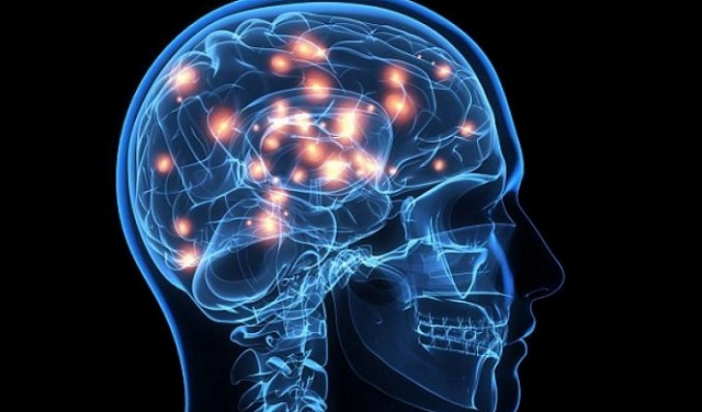 دراسة: قصر القامة في الصغر قد يزيد احتمال الإصابة بالسكتة الدماغية