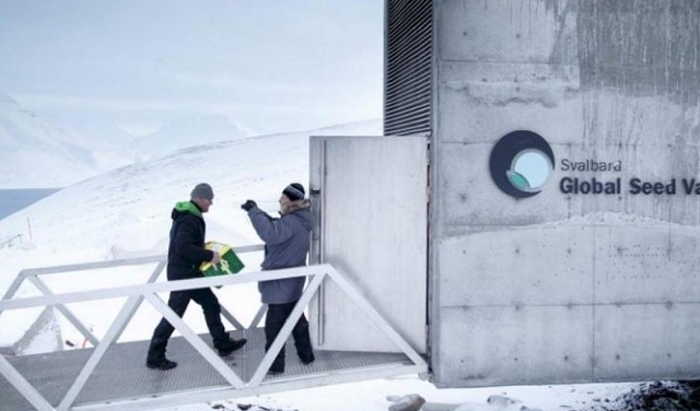 النرويج تنفق 13 مليون دولار لتطوير قبو بذور يوم القيامة