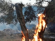 الاحتلال يحرق مزروعات غرب نابلس