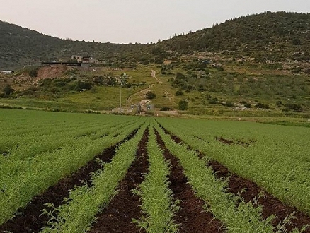 حالة الطقس: موجة الحر تصل أوجها اليوم الجمعة