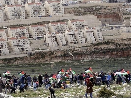 خبير ديمغرافي إسرائيلي: نعيش الآن واقع الدولة الثنائية القومية