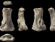 اكتشاف أحفورة للإنسان الأول تعود لـ90 ألف عام