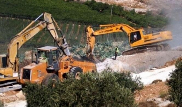 الاحتلال يقتلع عشرات أشجار الزيتون ويجرّف أراضٍ جنوب القدس