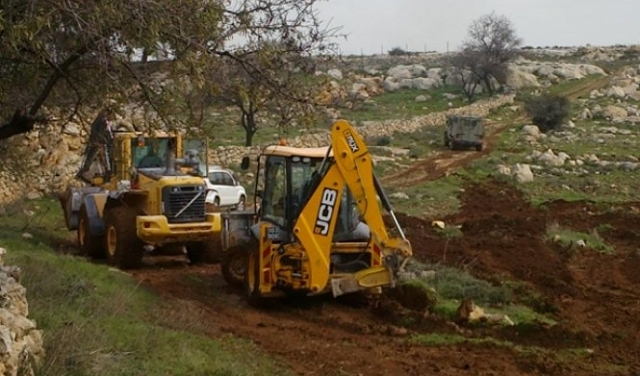 الاحتلال يدمر مئات أشجار الزيتون بالأغوار  