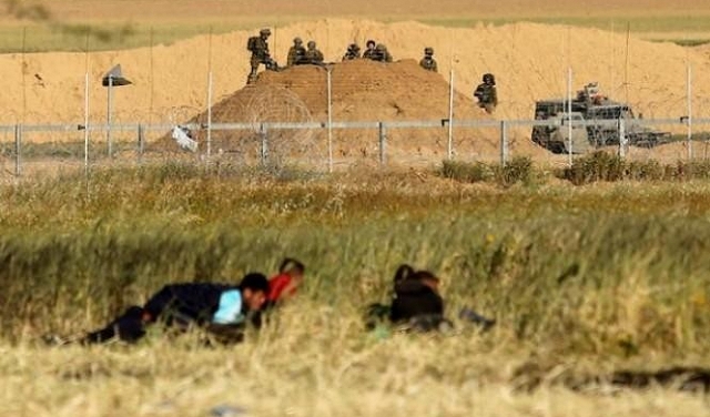 استشهاد 3 فلسطينيين واعتقالُ اثنين عند الحدود مع غزة