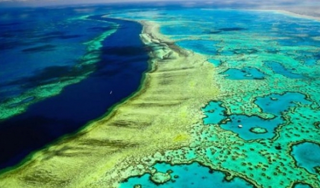 أستراليا تخصص 379 مليون دولار للحاجز المرجاني العظيم