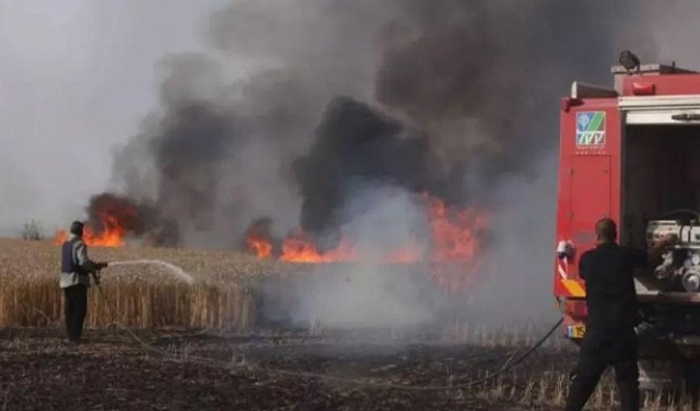 طائرة ورقية حارقة أطلقت من غزة تشعل النيران بأحراش جنوبي البلاد