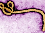 17 حالة وفاة في تفشٍّ جديد لمرض "ايبولا"