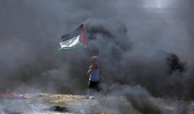   26 منظمة دولية تُطالب بالتحقيق في ممارسات الاحتلال بغزة