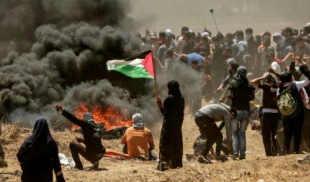 الخارجية البلجيكية تستدعي سفيرة إسرائيل للاحتجاج على مجزرة غزة