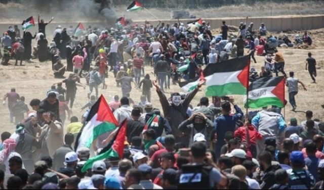 فلسطين تُطالب مجلس الأمن بتبني مشروع قرار الحماية الدولية