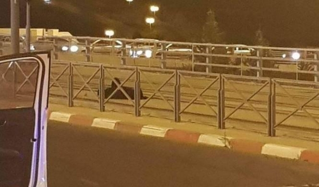 الاحتلال يقرر الإفراج عن المعتقلة الشحاتيت دون النظر بالقضية