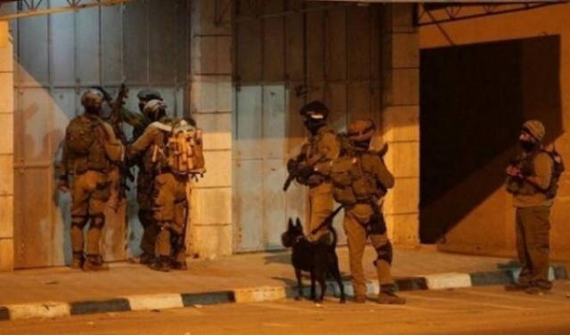  الاحتلال يعتقل 13 فلسطينيا بالضفة