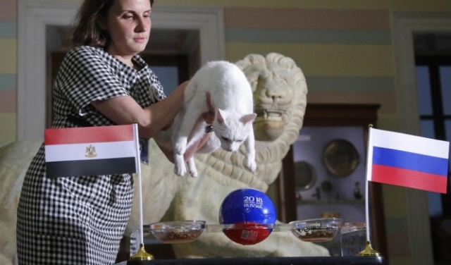 مصر أم روسيا: القط 