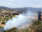 نابلس: مستوطنون يحرقون 300 شجرة زيتون