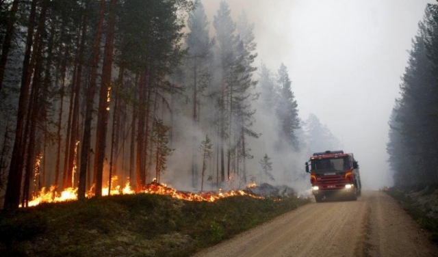 السويد تواجه موجة حر غير مسبوقة تسببت بحرائق 
