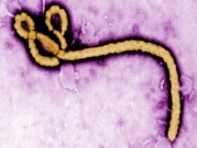 الكونغو الديمقراطية تعلن السيطرة على تفشي الإيبولا 