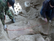 استخراج حفرية لأقدم ديناصور من سلالة "سوربورد"