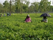 الهند: إضراب 400 ألف مزارع من أجل زيادة بنصف دولار 